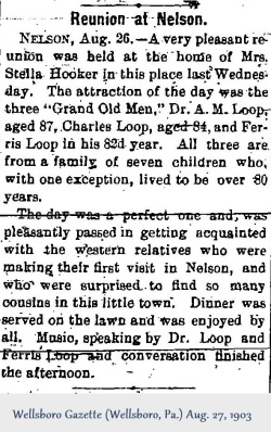 1903-08-27; Wellsboro Gazette (Wellsboro, PA) - Wed (Reunion at Nelson)